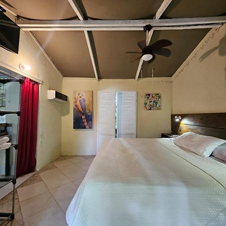Chez Nous Apartman Puerto Carrillo Kültér fotó