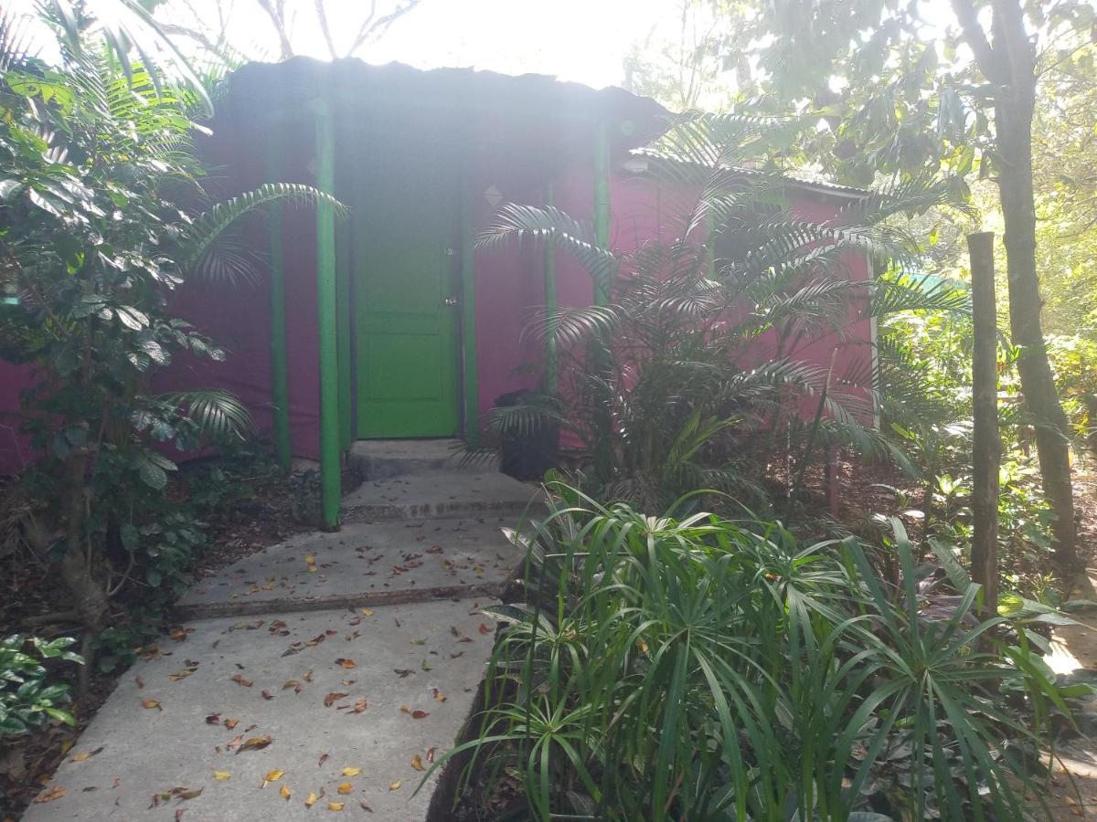 Chez Nous Apartman Puerto Carrillo Kültér fotó