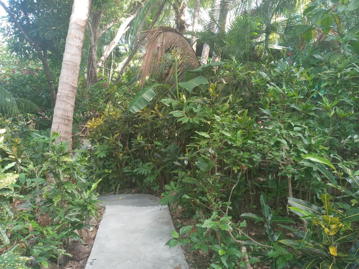 Chez Nous Apartman Puerto Carrillo Kültér fotó